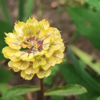 ,,, :: Сергей Тимоновский