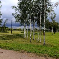 Перед дождём... :: Мария Васильева