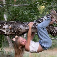 На дереве :: Валерия .