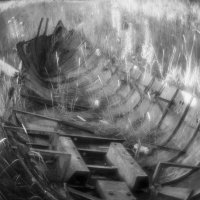 *** :: Виктория Павлова