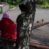 *** :: Валерий Михмель 