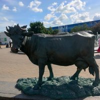 Памятник корове в Минске :: Ирэн 