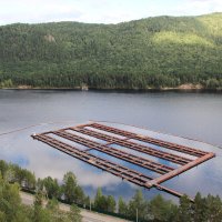 Форелевое хозяйство на Енисее :: Сергей Никифоров