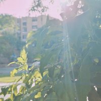 13  ОПЕН (243) :: OPEN WAYS ALL