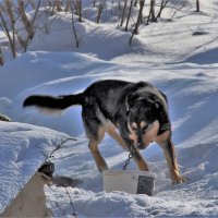 Зима в городе. :: Венера Чуйкова