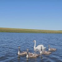 Август. :: Венера Чуйкова Август. :: Венера Чуйкова