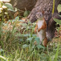 * :: Svetlana Galvez * :: Svetlana Galvez