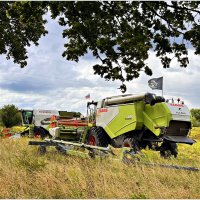 Комбайн. :: Валерия Комова