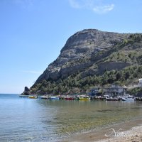 Природа Крыма :: Amazing Cosmea