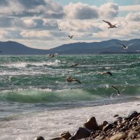 морской бриз :: Елена морской бриз :: Елена