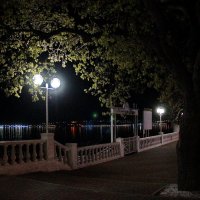 Геленджик... ночь... фонарь... :: Николай Саржанов