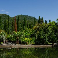 г. Новый Афон :: Сергей Михайлов