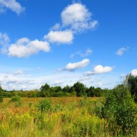В конце лета :: Андрей Снегерёв В конце лета :: Андрей Снегерёв