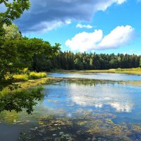 Абрамцево :: Наталья 