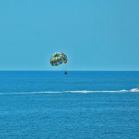 Не могу оторвать глаз... :: Валентина  Нефёдова 