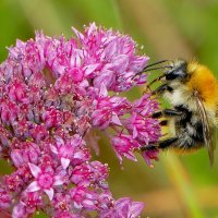 из снятого позавчера 1 :: Александр Прокудин из снятого позавчера 1 :: Александр Прокудин