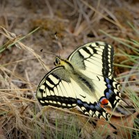 из снятого позавчера 4 :: Александр Прокудин