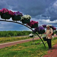 Июль...Я в прибрежном парке Нефтеюганска. :: Владимир 