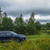 У лесного озера. :: Михаил "Skipper" У лесного озера. :: Михаил "Skipper"