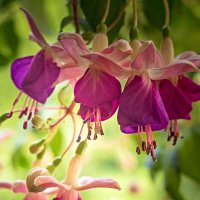 3924 :: Alex . 3924 :: Alex .