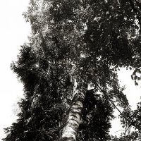 Назва. отсу. :: Денис Безногов