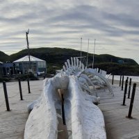 Воспоминания о Левиафане... :: Ольга 