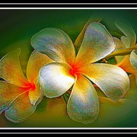 Вентиляторы :: Владимир Кроливец