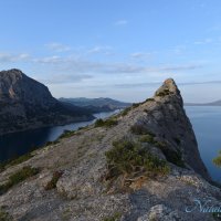 Природа Крыма :: Amazing Cosmea