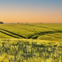 За два шага до осени :: Галина Шеина-Мюльдорфер