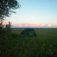 Тихая летняя ночь... :: Наталья Лунева 