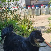 Пристальный взгляд :) :: Наталья Пристальный взгляд :) :: Наталья