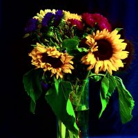 АВГУСТОВСКИЕ БУКЕТЫ -4 :: Елена Куприянова 