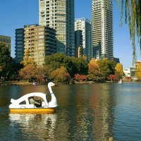 Токио, катание на лебедях :: Civetta ***