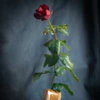 Натюрморт 2 :: Владимир 