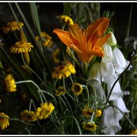 Краски лета уходящего :: Aleksandr Gal