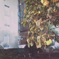 13  ОПЕН (251) :: OPEN WAYS ALL