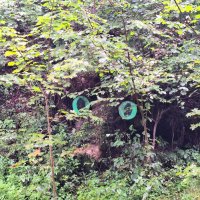 Леший :: Наталья 