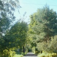 Загорянка :: Леонид leo