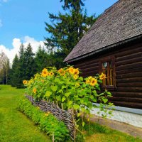 Пастораль :: Галина Бобкина