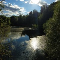 Лета - на донышке :-( :: Андрей Лукьянов