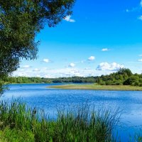 Моя Смоленщина. :: Милешкин Владимир Алексеевич 