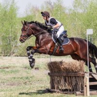 Кросс :: SanSan 