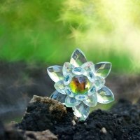 Про звёзды лета уходящего... :: Андрей Заломленков