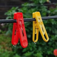 Под дождём :: Валентина Богатко 