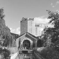 "Аптекарский огород", Москва. Черно-белая фотография :: Любимова Ольга 
