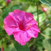 ,,, :: Сергей Тимоновский ,,, :: Сергей Тимоновский