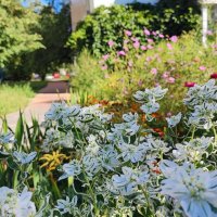 ,,, :: Сергей Тимоновский