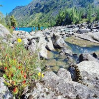 Алтай :: Андрей Л. В.