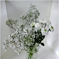 БУКЕТ... :: Elvira E. БУКЕТ... :: Elvira E.