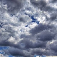 *** :: Шу Юншен